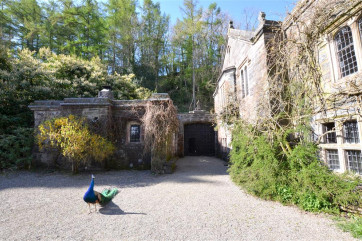 The castle is famous for its peacocks