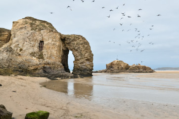 Perranporth Rocks