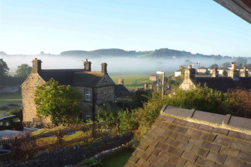 LOWER IVY ROOF TOPS VIEW