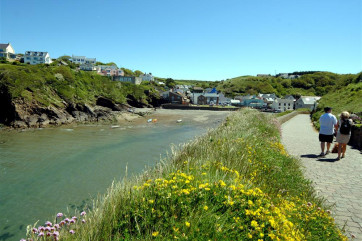 Early summer in Little Haven