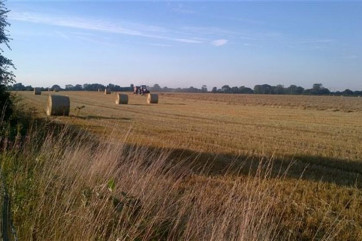 Farmers field with hay bales