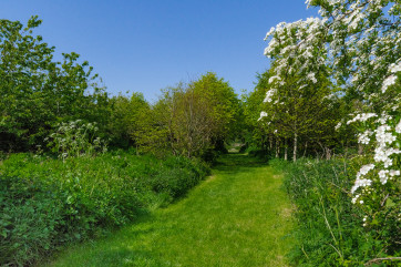 Meandering paths through the grounds