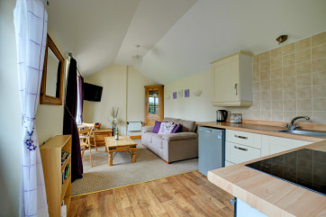 Contemporary kitchen, dining and living area