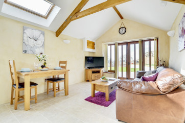 The high apex ceiling and velux windows offer a bright and spacious open plan living space