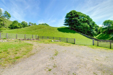 Driveway and Owned Land