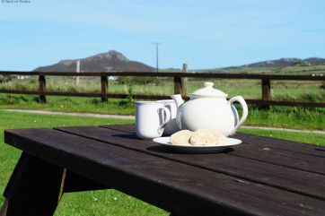 relax in the large grounds