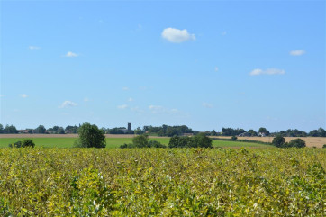 View of surrounding fields