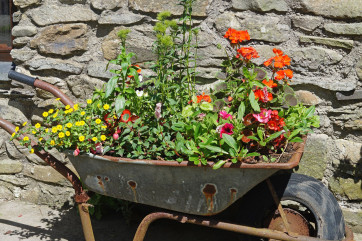 Set on a smallholding near Aberaeron