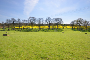View of the surrounding fields near the cottage.