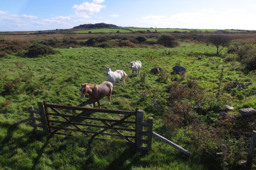 The fields next to the cottage
