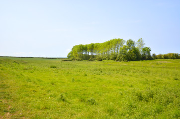 Views of surrounding countryside