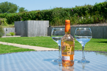 Enjoying some Welsh Aber Falls gin in the garden