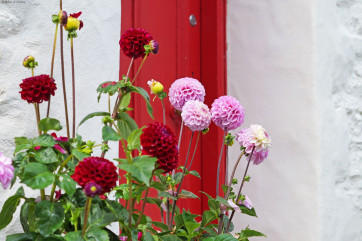 Llansteffan Holiday cottage is brimming with character and charm.