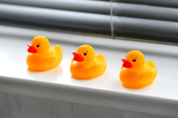 Three little ducks all lined in a row!