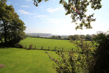 View from the garden