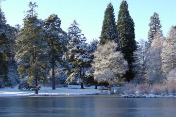 Bedgebury Pinetum in Winter
