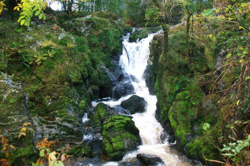 Extensive grounds including a waterfall in front of the cottage