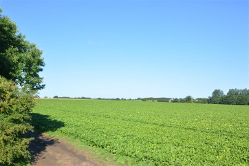 View from the window in bedroom six