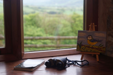 Viewing chair with a binoculars to spot the birds in the woodlands
