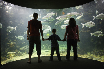 Anglesey Sea Zoo - another top attraction on the island