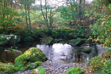 Luxury holiday cottage with its own gravel beach onto gin clear river