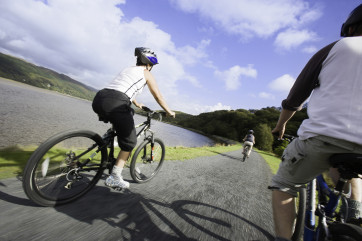 Mawddach Trail - great for walking and cycling