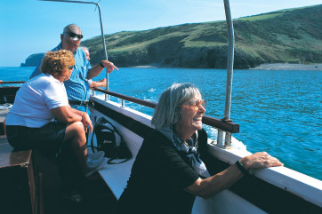 Dolphin watching trips available nearby