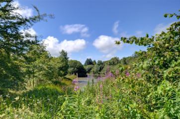 WAG558 - Shared Grounds and Lake View 2