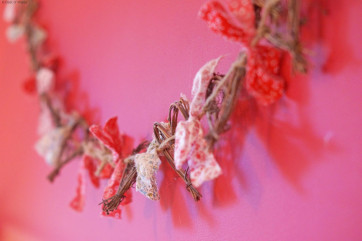 Bedroom 1 - Ground floor double bedroom with underfloor heating.