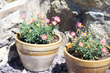 The patio is perfectly located to capture the sea & countryside views