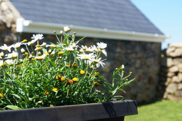 The patio is perfectly located to capture the sea & countryside views