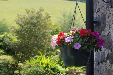 Self catering in Mid Wales - farmhouse holiday near Machynlleth
