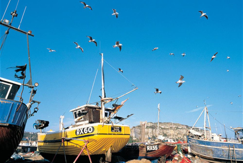 Hastings Fishing Fleet
