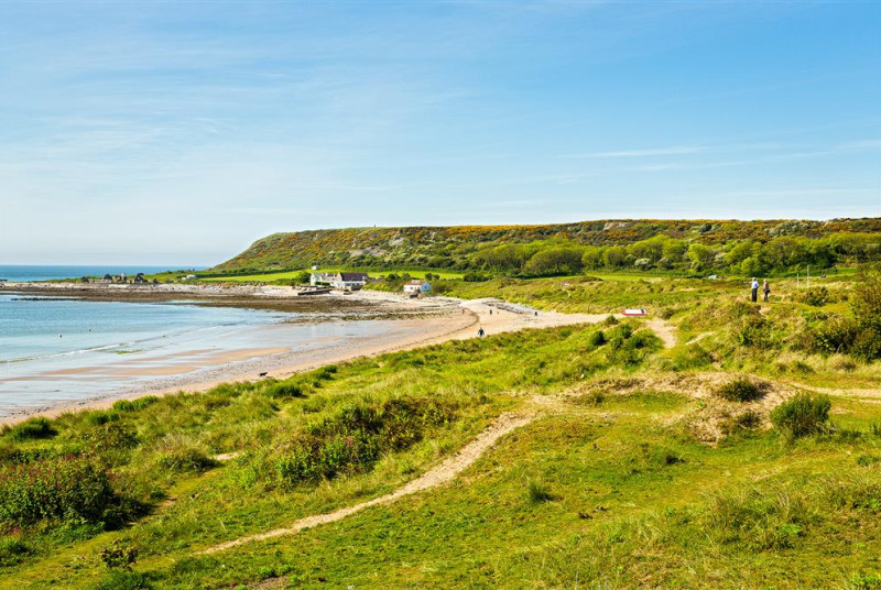 SVW-C79-1112-0029-A6W