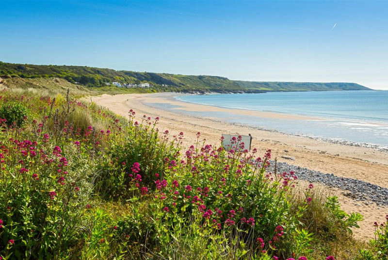 SVW-C79-1112-0030-A6W