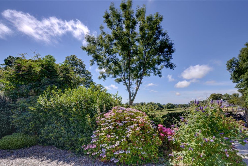 WAG558 - Garden View 3