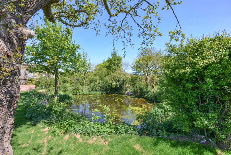 Garden View showing unfenced pond 