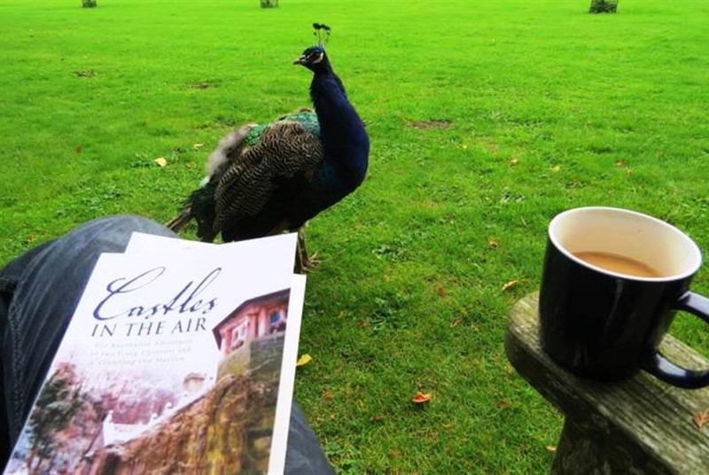 WAG232 - Peacock and Book