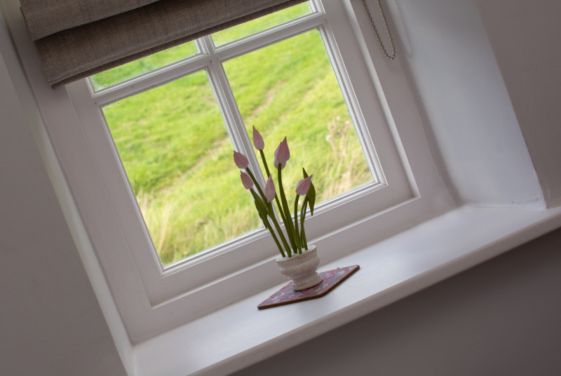 Views from every window