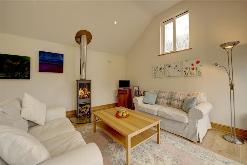 SFAKE - Living Area - View 1