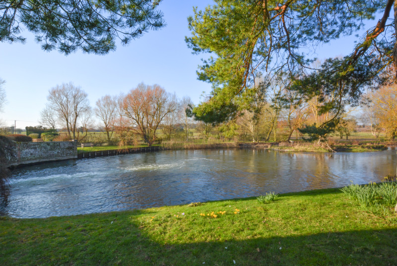 View of the Mill Pond with surrounding trees