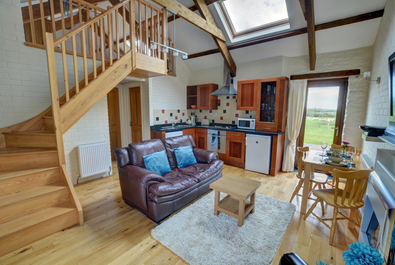 The open plan living area has a staircase leading up to the single bedroom