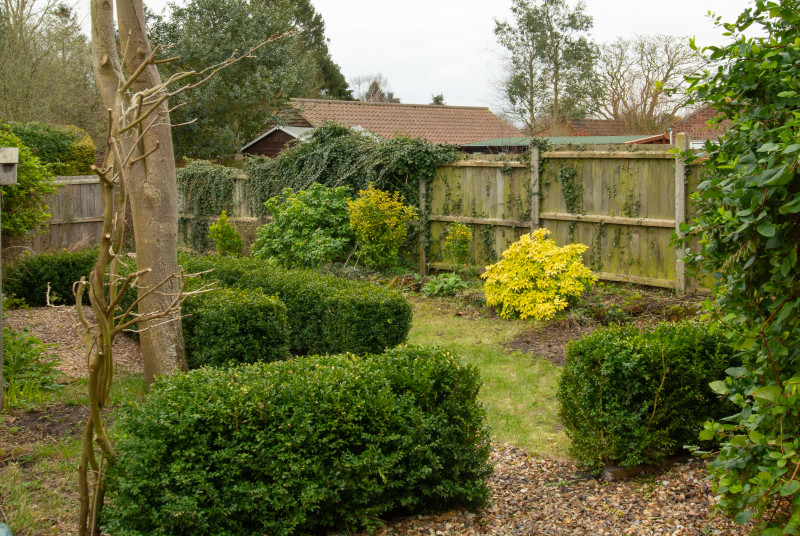 Garden with grass areas and mature shrubs