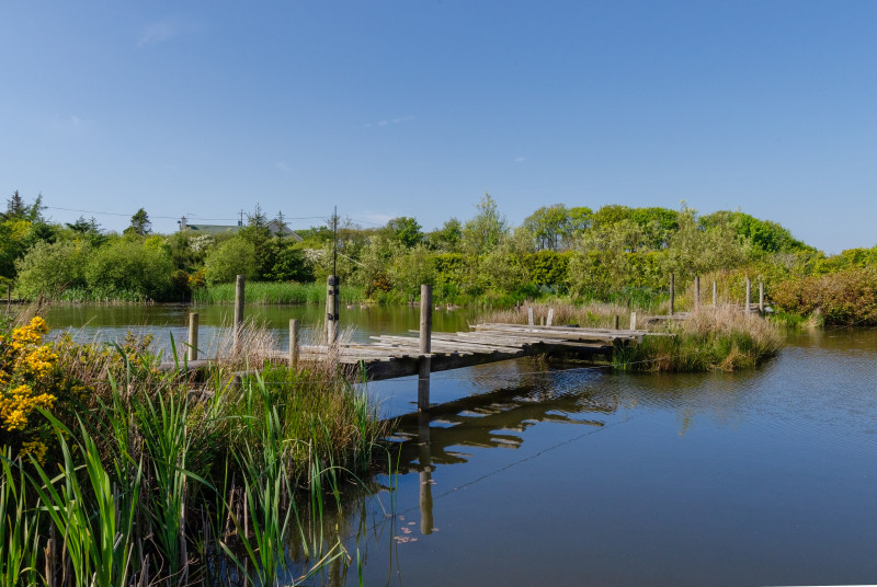 Admire the wildlife on the lake