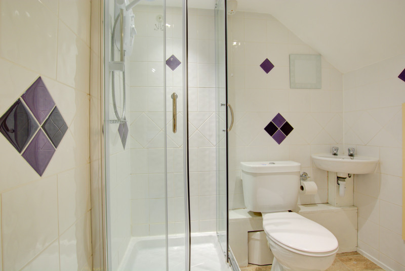 Shower Room with washbasin, wc
