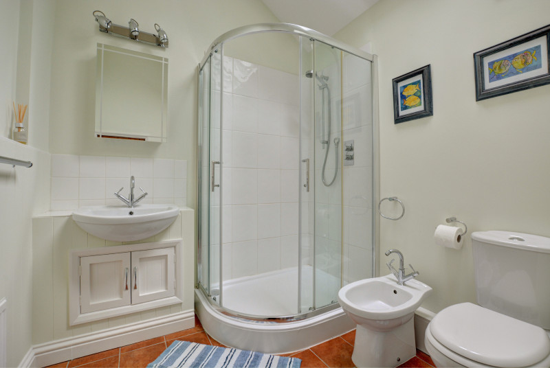 Shower room with shower, washbasin and wc