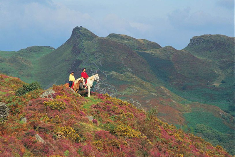 Enjoy some pony trekking during your working farm holidays in Wales
