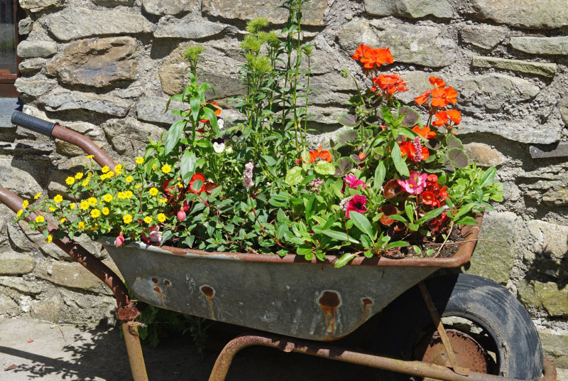 Set on a smallholding near Aberaeron