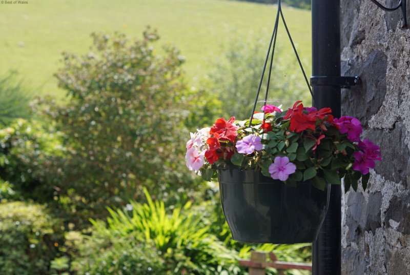 Self catering in Mid Wales - farmhouse holiday near Machynlleth