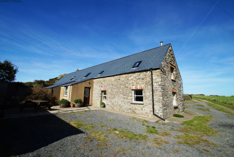 The rear garden area